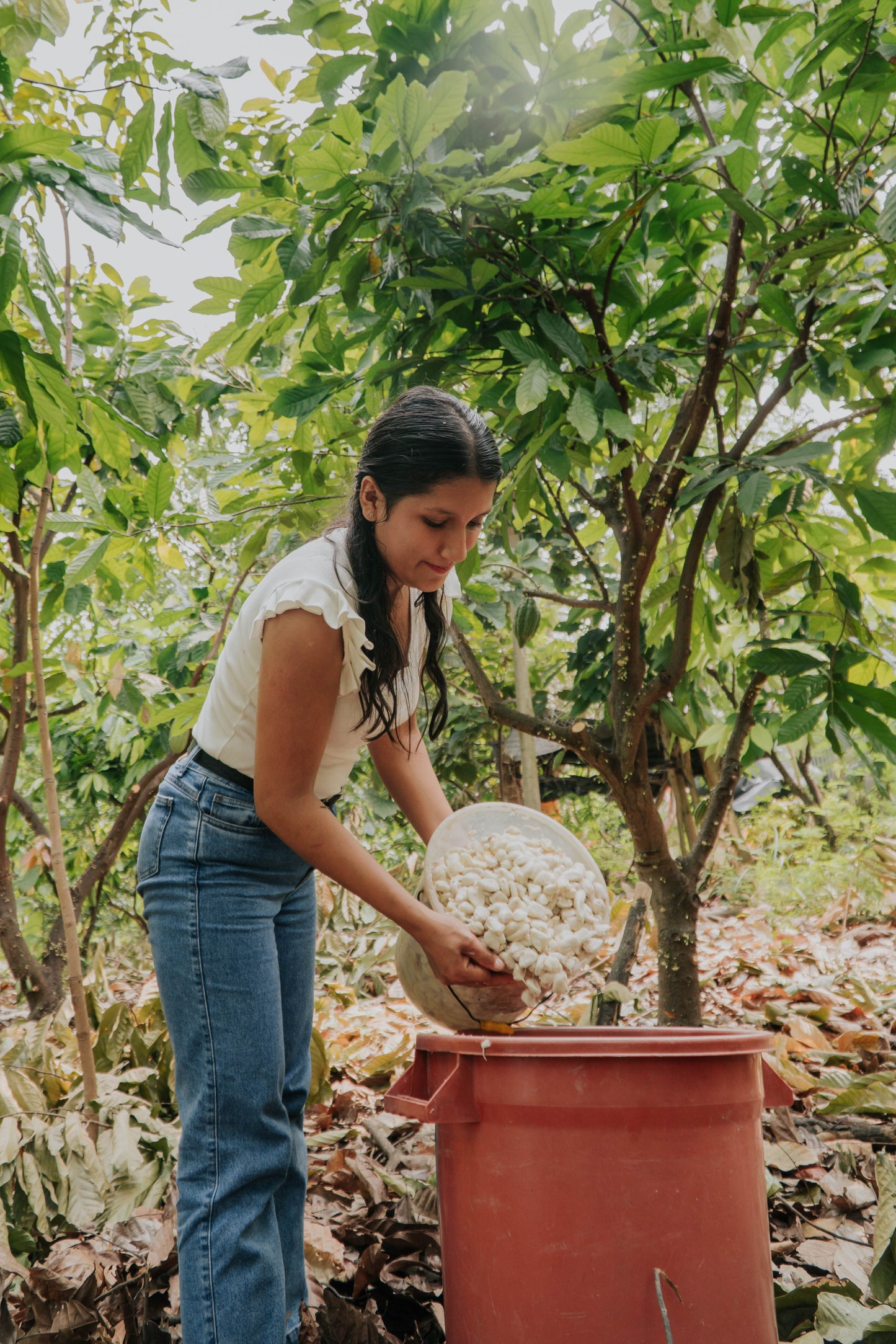 Peru Amazonas Nativo Cacao - „Der Fruchtige“ - Cacao-Bruchstücke