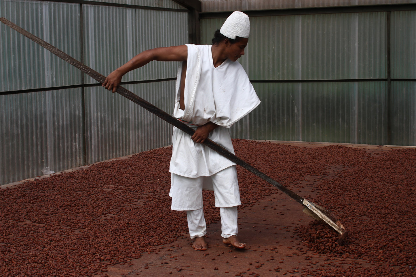 Kolumbien Arhuaco Cacao - „Der Würzige“ - Cacao-Block