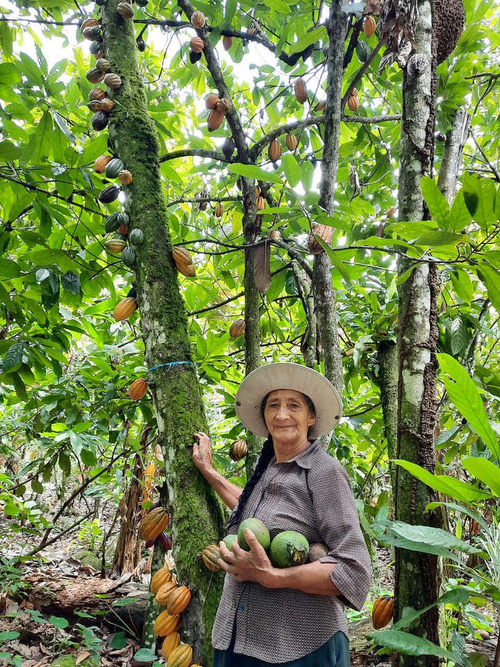 Peru Chuncho Cusco Cacao - „Der Sanfte“ - Cacao-Bruchstücke